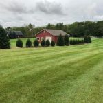 V. Bolanos Landscaping