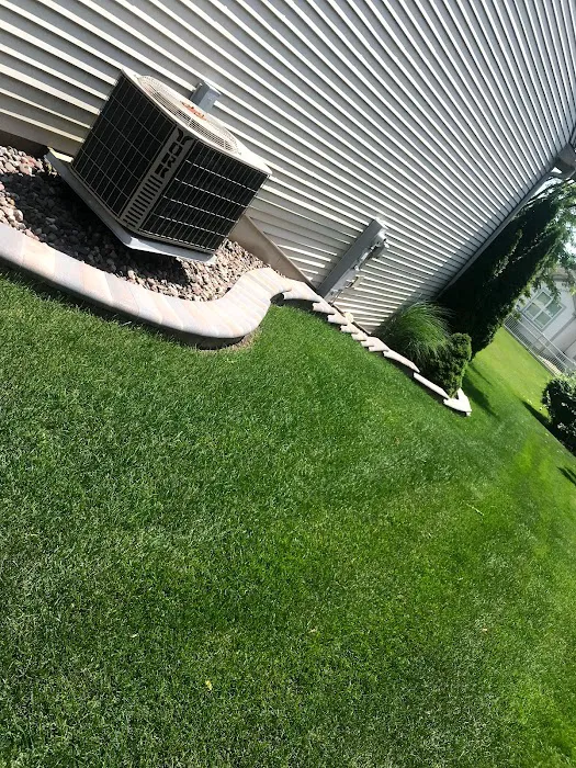 V. Bolanos Landscaping Picture 3