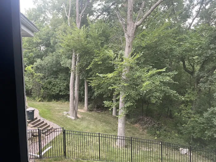 Power Tree Removal Services & Landscaping Inc Picture 3