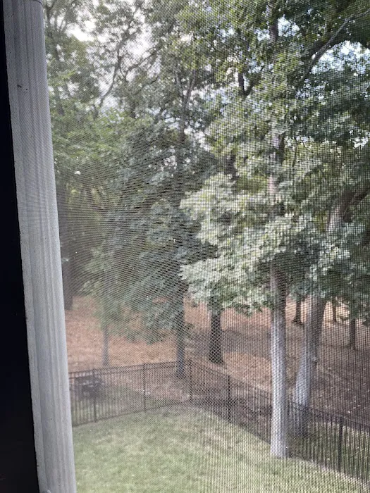 Power Tree Removal Services & Landscaping Inc Picture 8