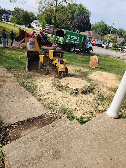 Power Tree Removal Services & Landscaping Inc Picture 10