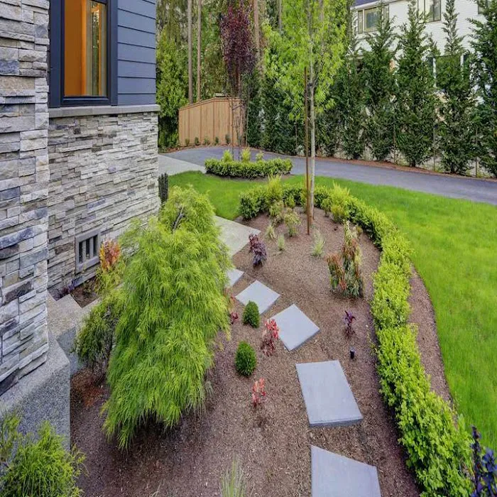Power Tree Removal Services & Landscaping Inc Picture 9