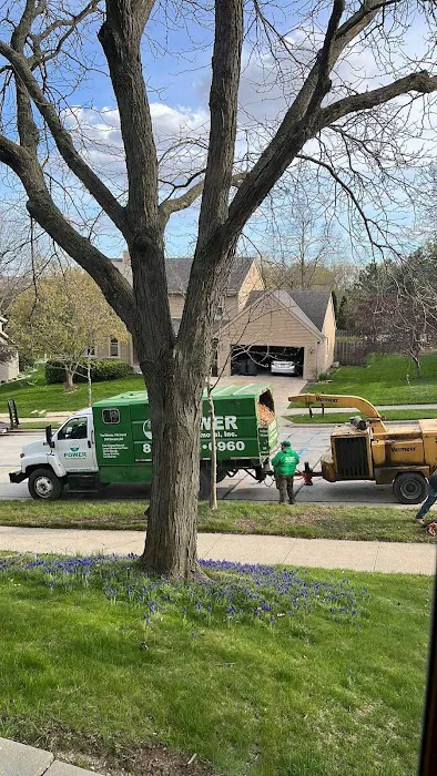 Power Tree Removal Services & Landscaping Inc Picture 1