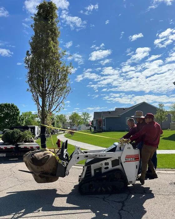 Maya Lawn Landscaping Corp. Picture 1