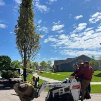 Maya Lawn Landscaping Corp. ico