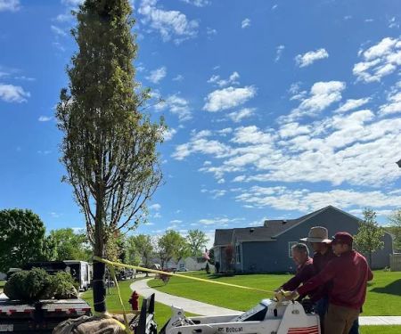 Maya Lawn Landscaping Corp.