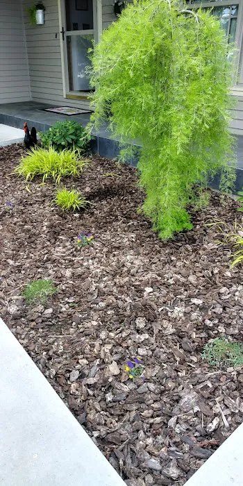 NOVA Landscape Maintenece Picture 2