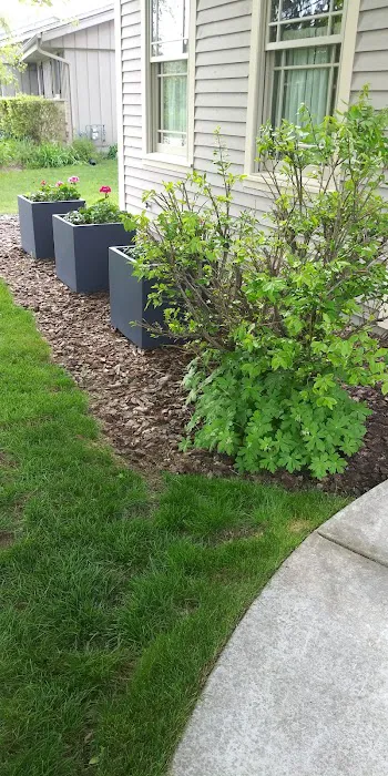 NOVA Landscape Maintenece Picture 7