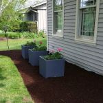 NOVA Landscape Maintenece