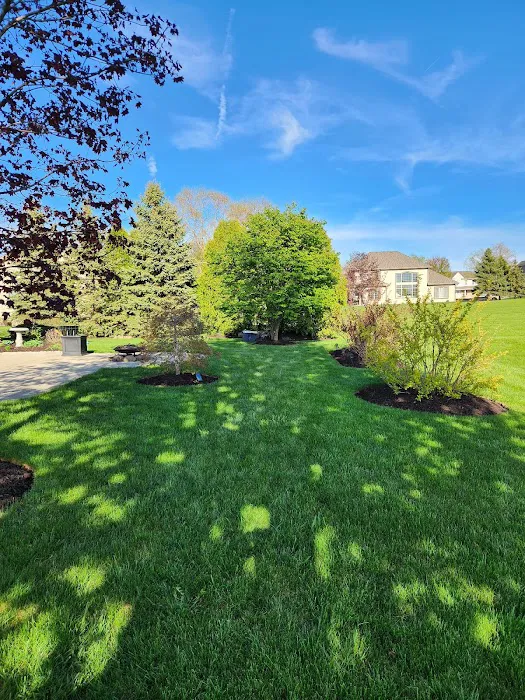 Red Maple Landscaping & Tree Services LLC Picture 10