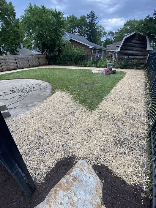 Red Maple Landscaping & Tree Services LLC Picture 5