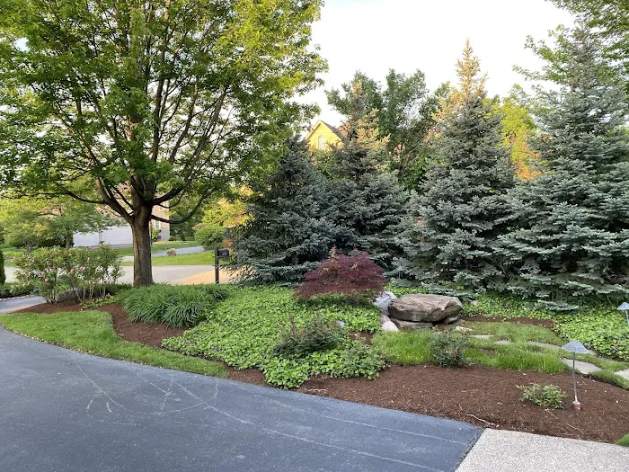 Red Maple Landscaping & Tree Services LLC Picture 4