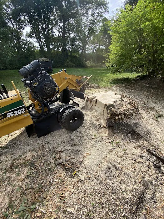 Red Maple Landscaping & Tree Services LLC Picture 6