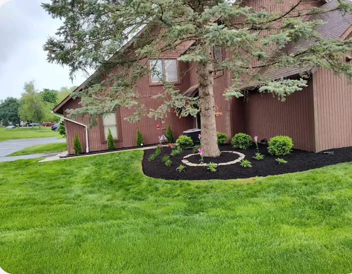 Divine View Landscaping LLC Picture 9
