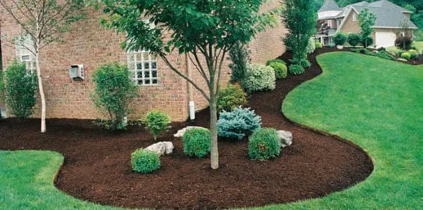 Divine View Landscaping LLC Picture 7