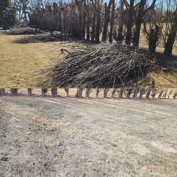 Divine View Landscaping LLC Picture 4