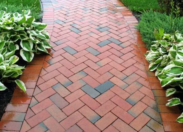 Divine View Landscaping LLC Picture 1