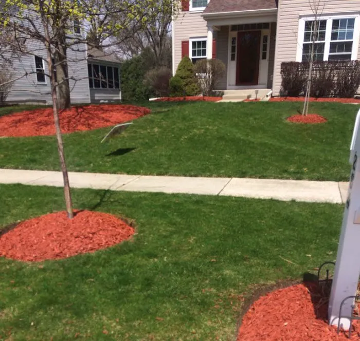 E & J Landscaping Picture 10
