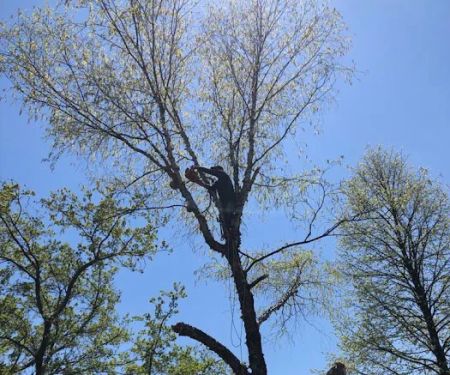 Pro Garden Landscaping LLC