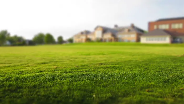 3 J'S Lawn Services Picture 6