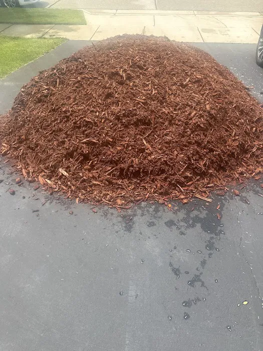Holiday Property Management & Landscaping Picture 9