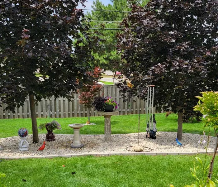 CJS Lawn & Landscaping Picture 9
