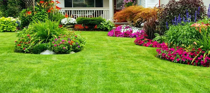 CJS Lawn & Landscaping Picture 2