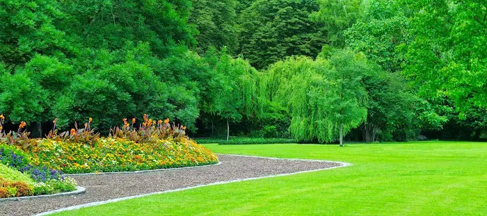 CJS Lawn & Landscaping Picture 4