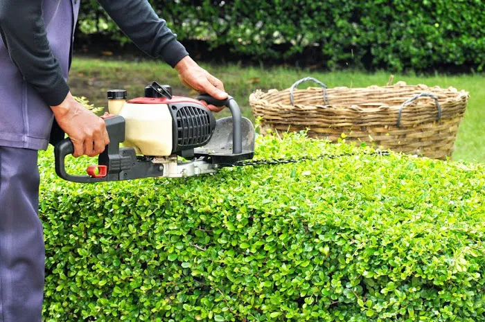 CJS Lawn & Landscaping Picture 7