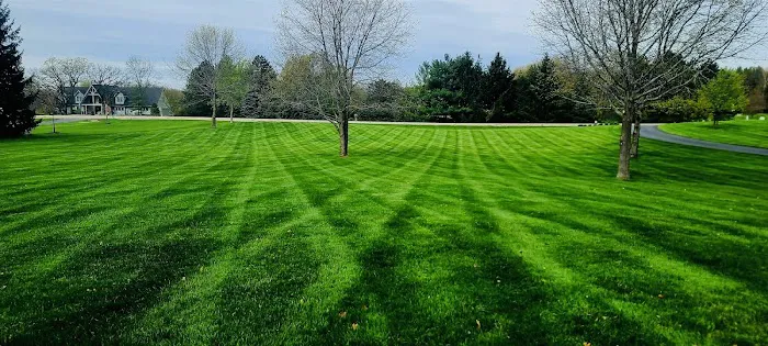 Lawn & Landscaping Espinoza LLC Picture 9