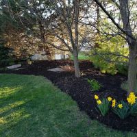 Schlei Snowplowing and Lawn Service ico
