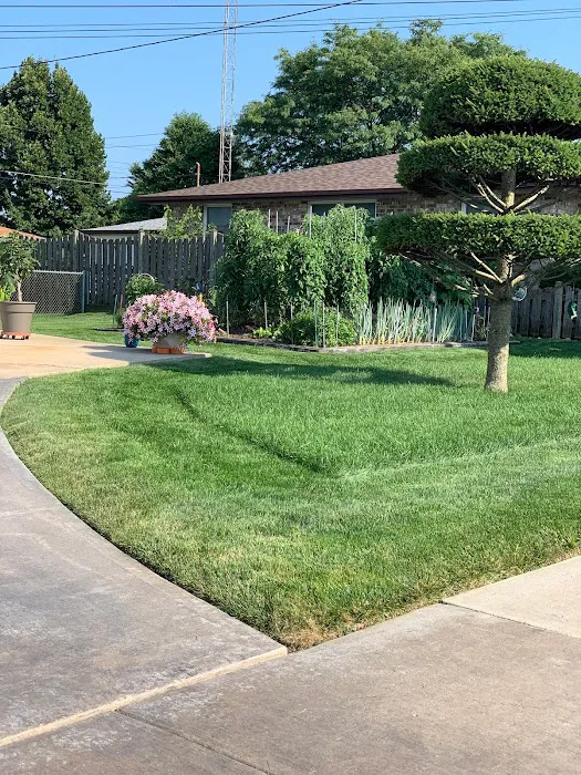 Mendez Landscaping and Lawn Care Picture 7