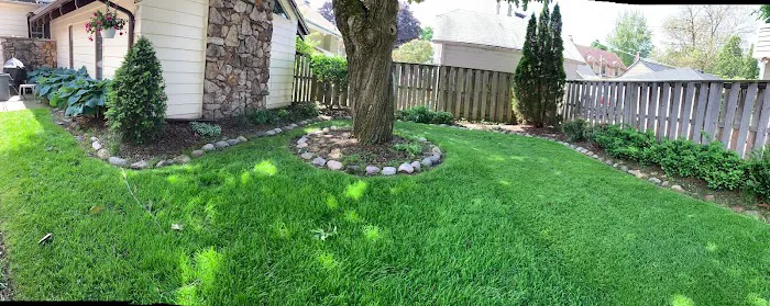 Mendez Landscaping and Lawn Care Picture 5