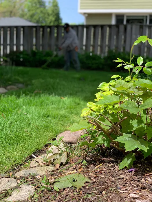 Mendez Landscaping and Lawn Care Picture 3
