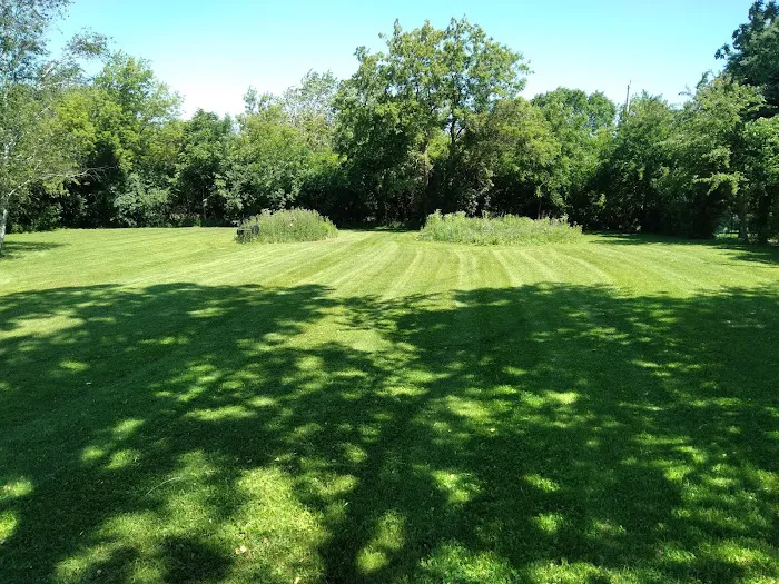 The Yard Guy LLC Picture 4
