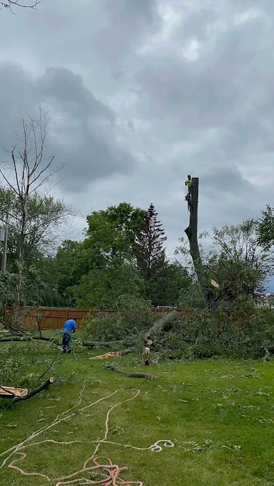 Herrera Landscaping & Remodeling Picture 1