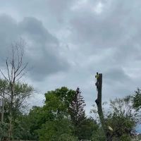 Herrera Landscaping & Remodeling ico