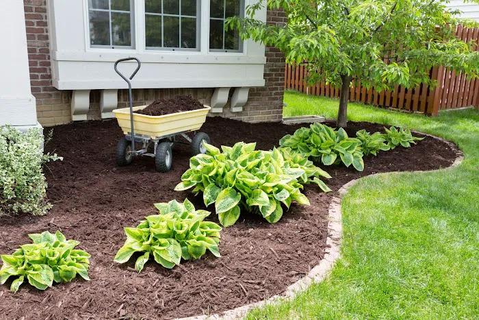 Stohr's Lawn Service, Inc Picture 6