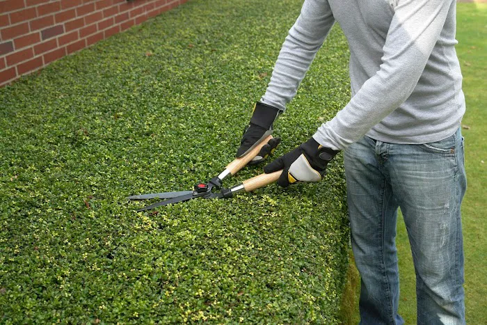 Stohr's Lawn Service, Inc Picture 1