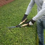Stohr's Lawn Service, Inc