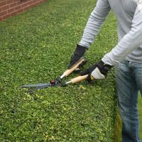 Stohr's Lawn Service, Inc ico