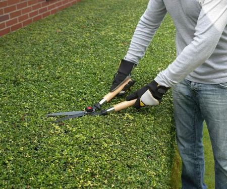 Stohr's Lawn Service, Inc