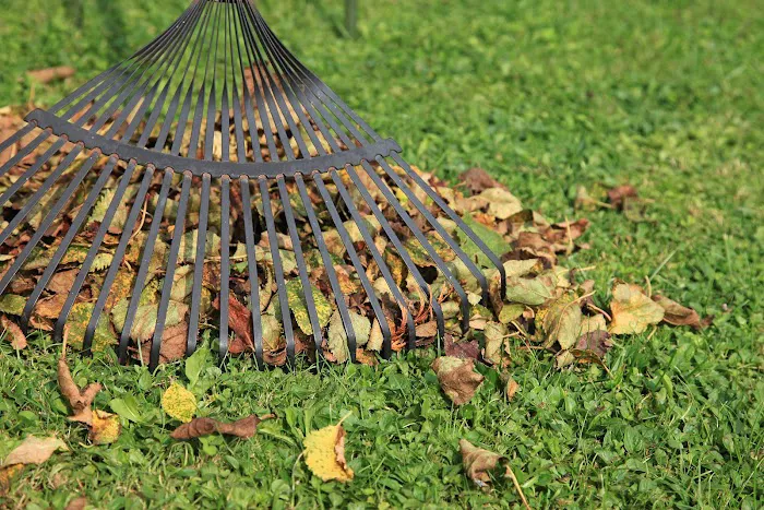 Stohr's Lawn Service, Inc Picture 4