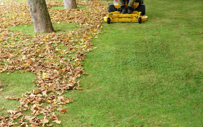Stohr's Lawn Service, Inc Picture 2