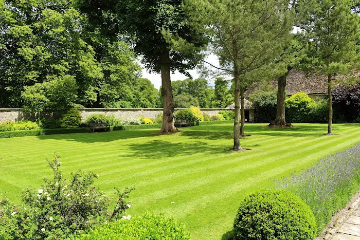 Stohr's Lawn Service, Inc Picture 5