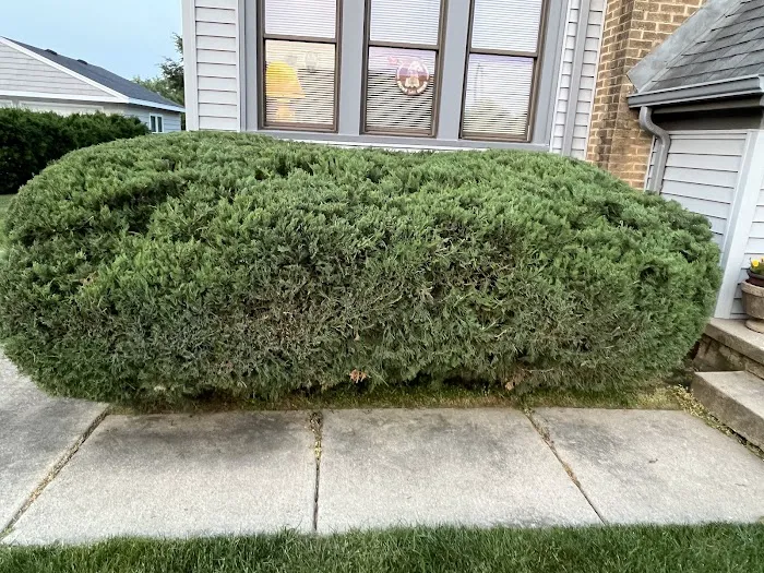 Stohr's Lawn Service, Inc Picture 8