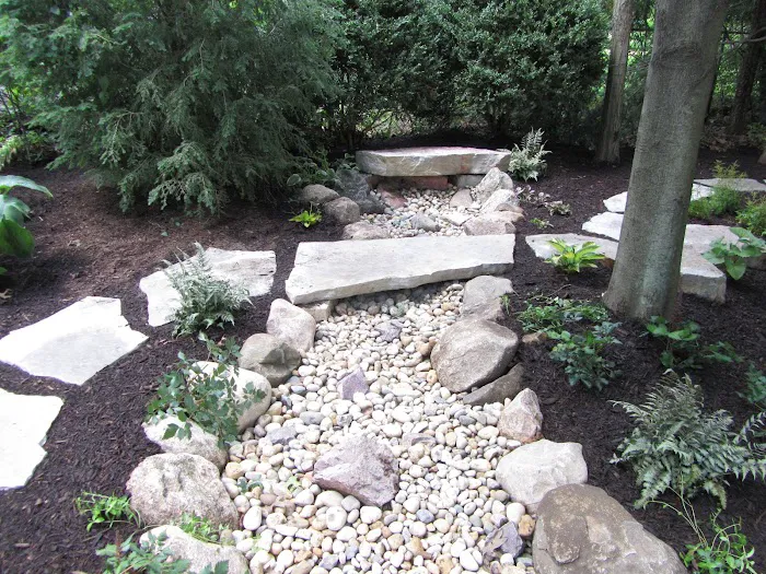 Branching Out, Inc. Picture 8