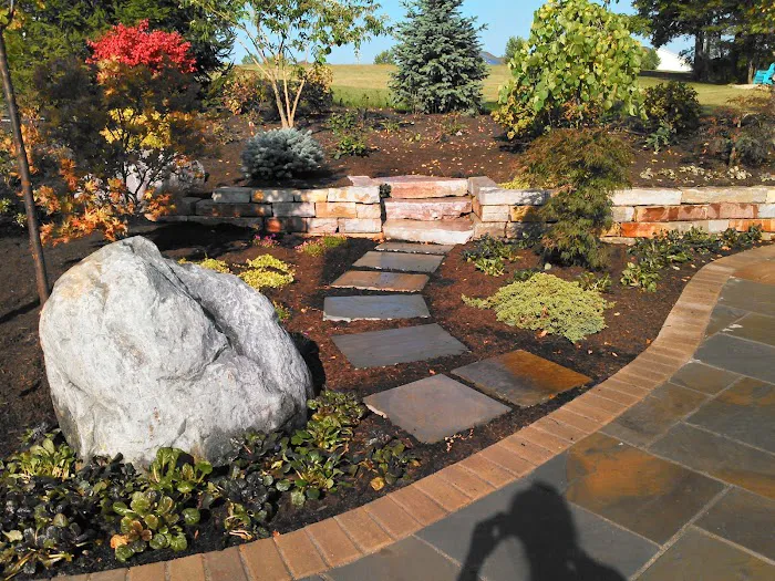 Branching Out, Inc. Picture 10