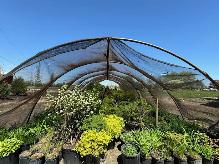 Premier Landscape Store Picture 5