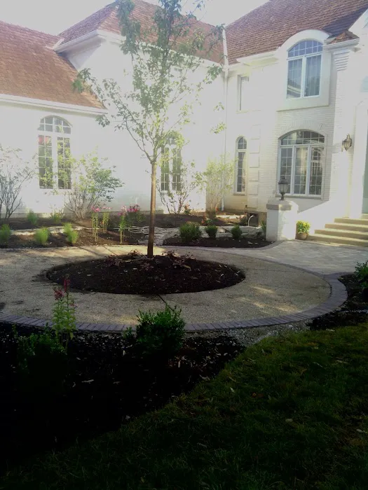 Rojas landscaping & Lawn maitenance inc Picture 8